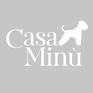 Casa Minu Viareggio